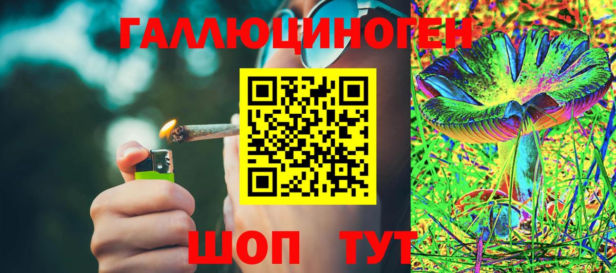 Галлюциногенные грибы Psilocybe  Тайшет  Галлюциногенные грибы GOLDEN TEACHER 