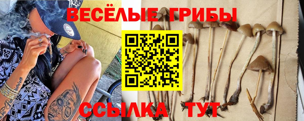 Тайшет  Галлюциногенные грибы Magic Shrooms  Вход с VPN 
