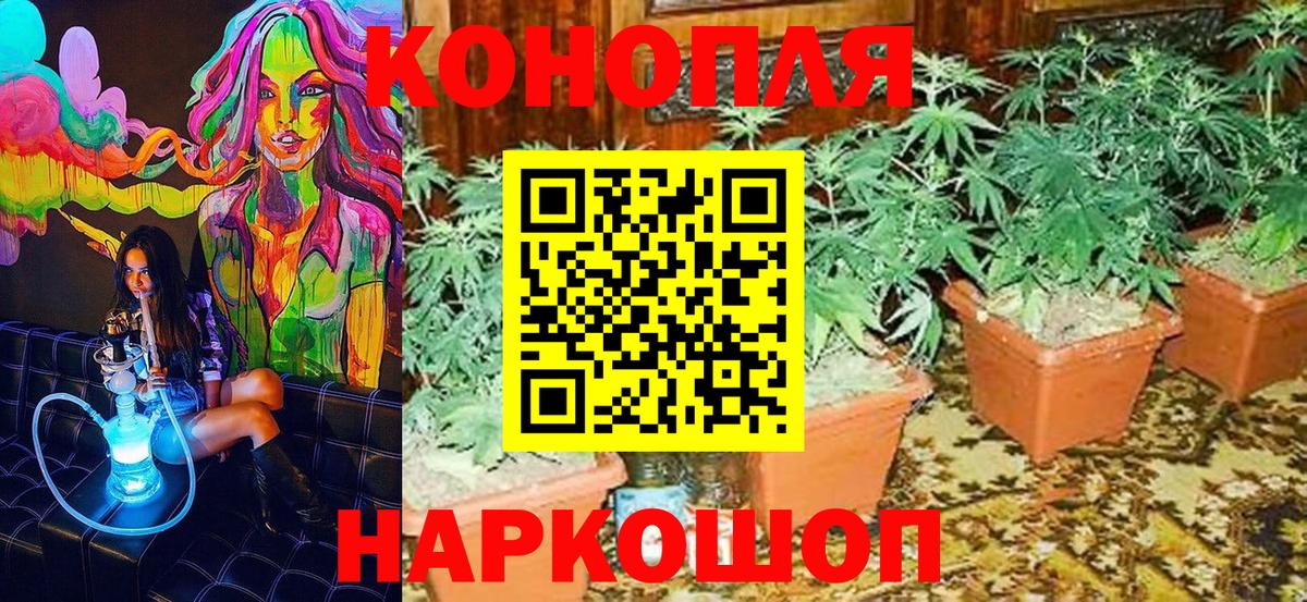 Бошки Шишки план  Вход с VPN  Тайшет  МАРИХУАНА марихуана 